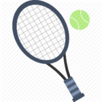 sim lion fitness squash court